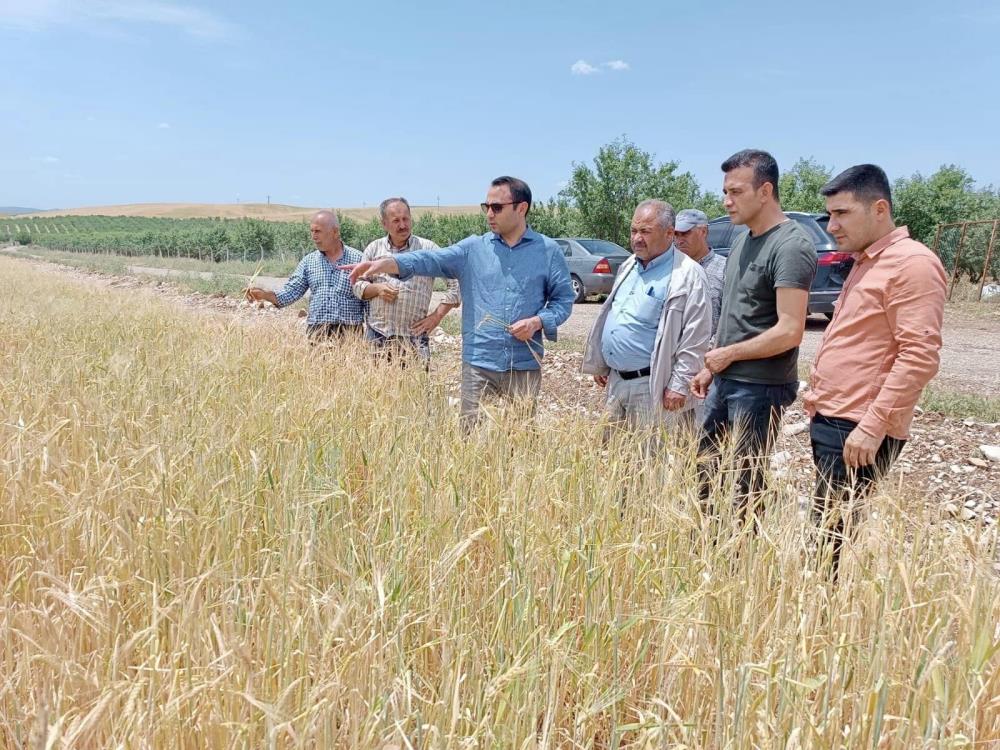 Dolunun zarar verdiği tarım alanları incelendi