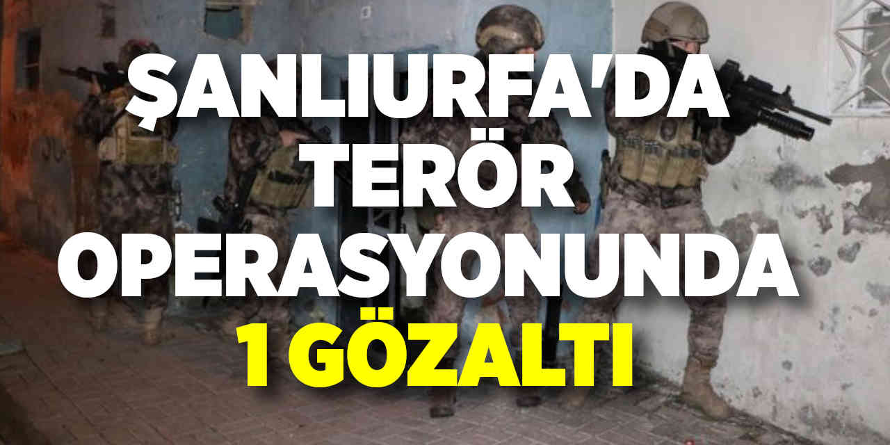 Şanlıurfa'da terör operasyonu: 1 gözaltı