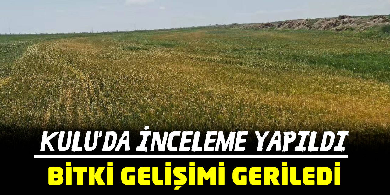 Kulu’da bitki gelişimi önceki yıllara göre geri kaldı