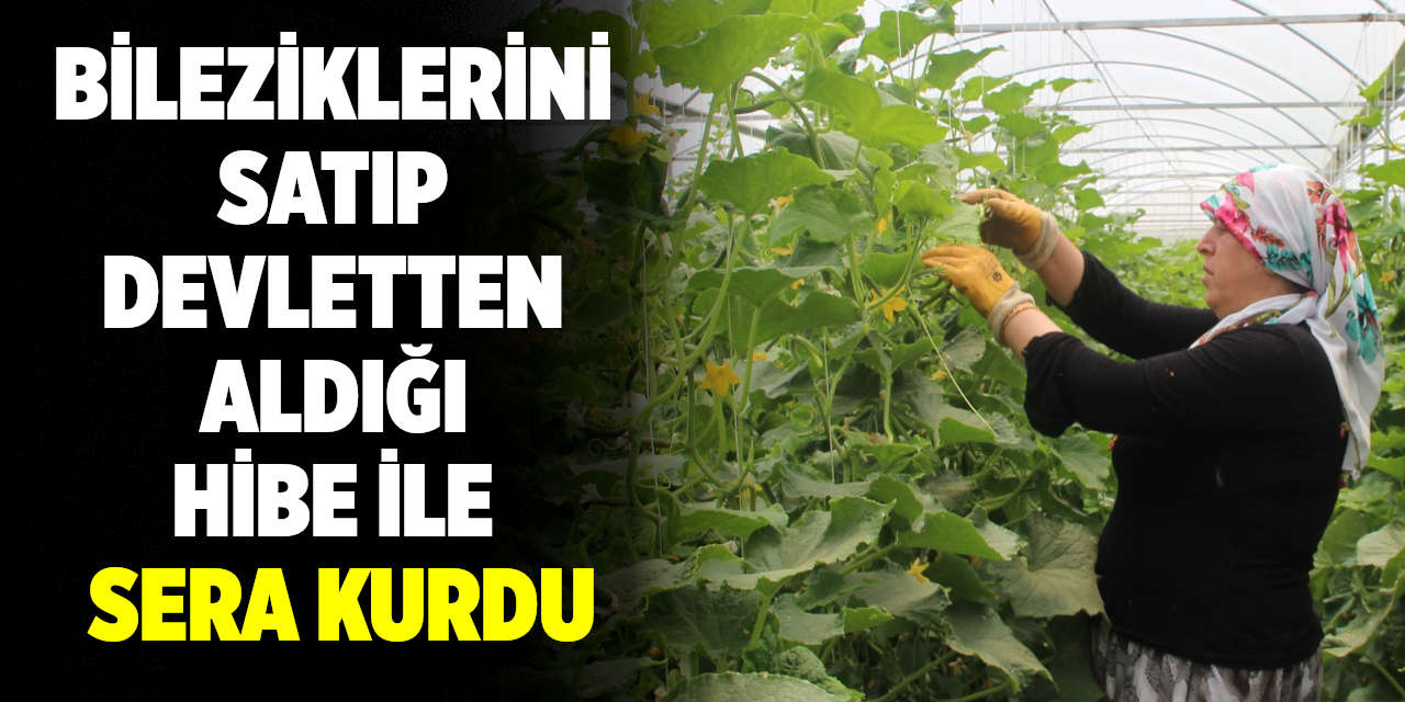 Bileziklerini satıp devletten aldığı hibe ile sera kurdu