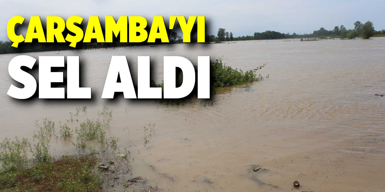Çarşamba'yı sel aldı