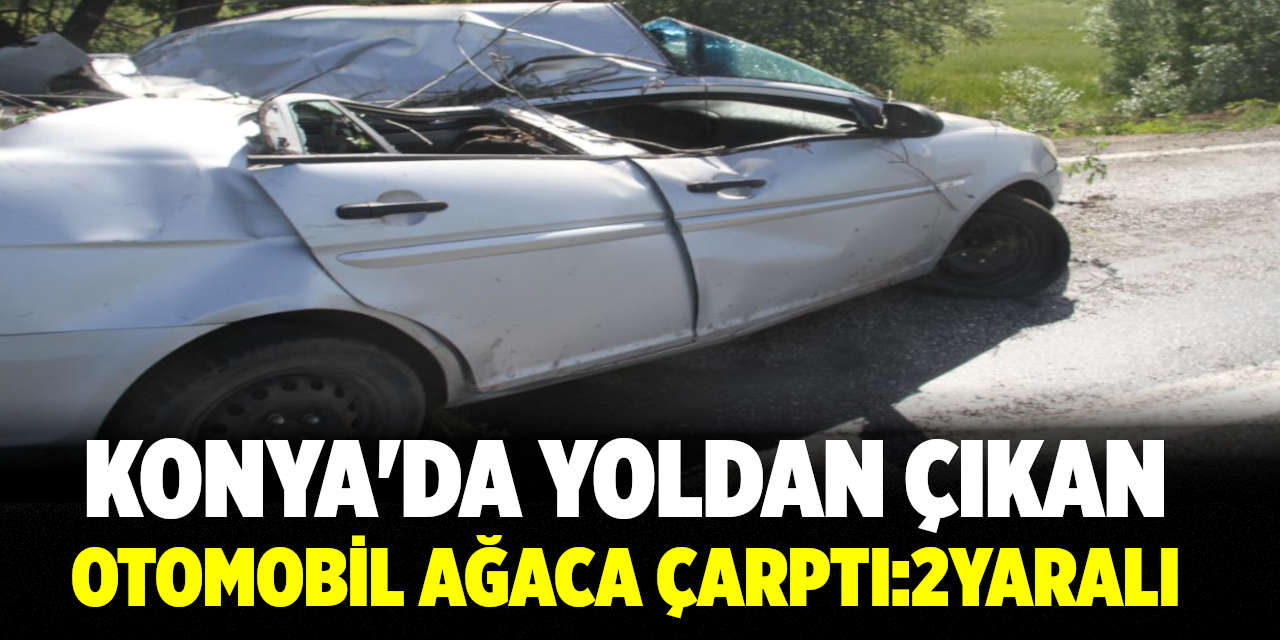 Konya’da Yoldan Çıkan Otomobil Ağaca Çarptı: 2 Yaralı
