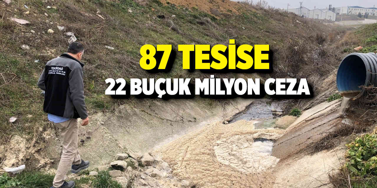 87 Tesise 22 Buçuk Milyon Ceza