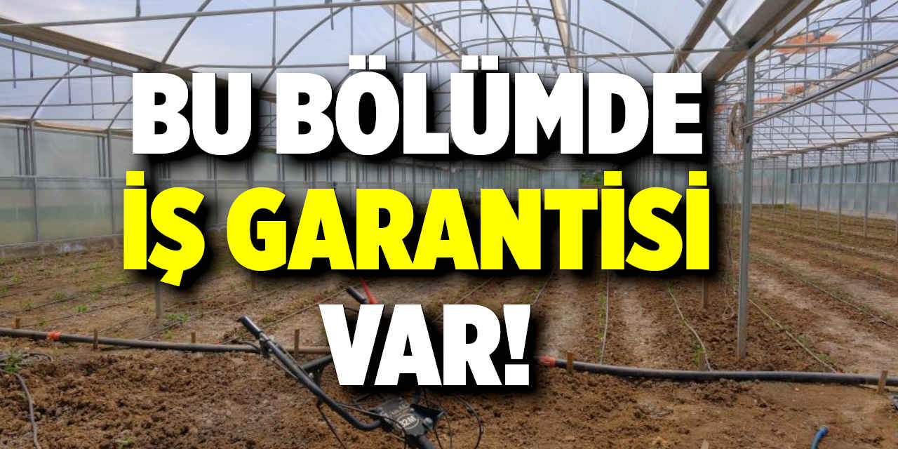 Bu Bölümde İş Garantisi Var