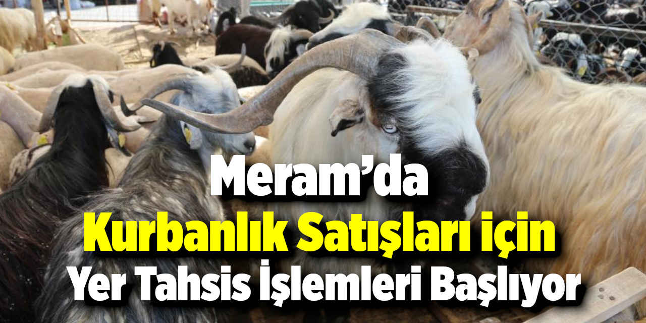 Meram’da Kurbanlık Satışları İçin Yer Tahsis İşlemleri Başlıyor