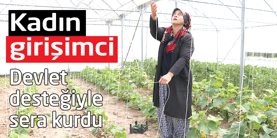 Kadın girişimci devlet desteğiyle sera kurdu