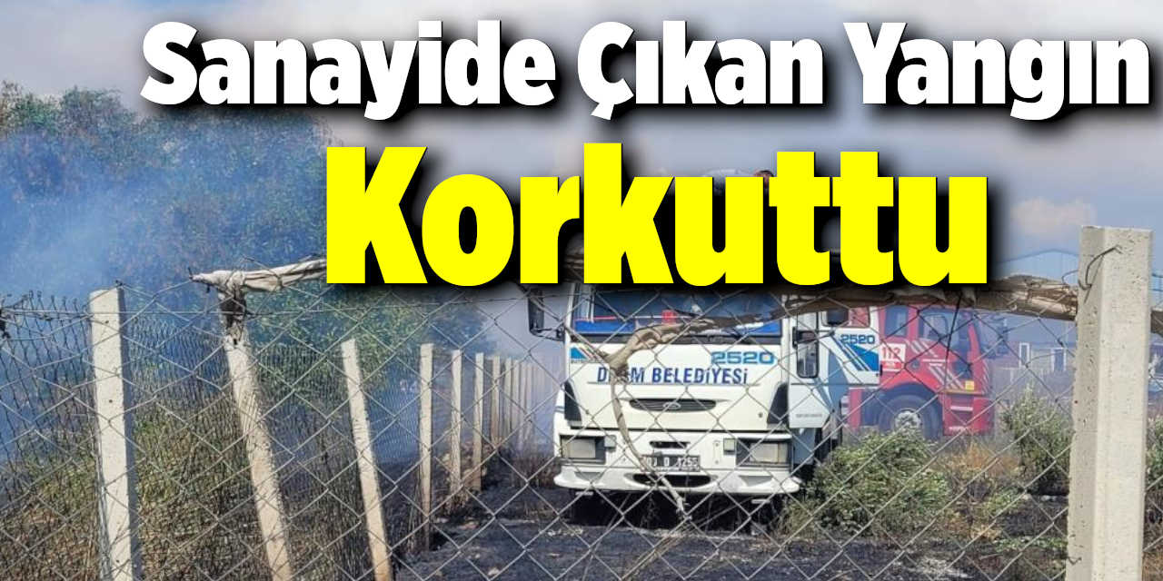 Didim’de sanayide çıkan yangın korkuttu