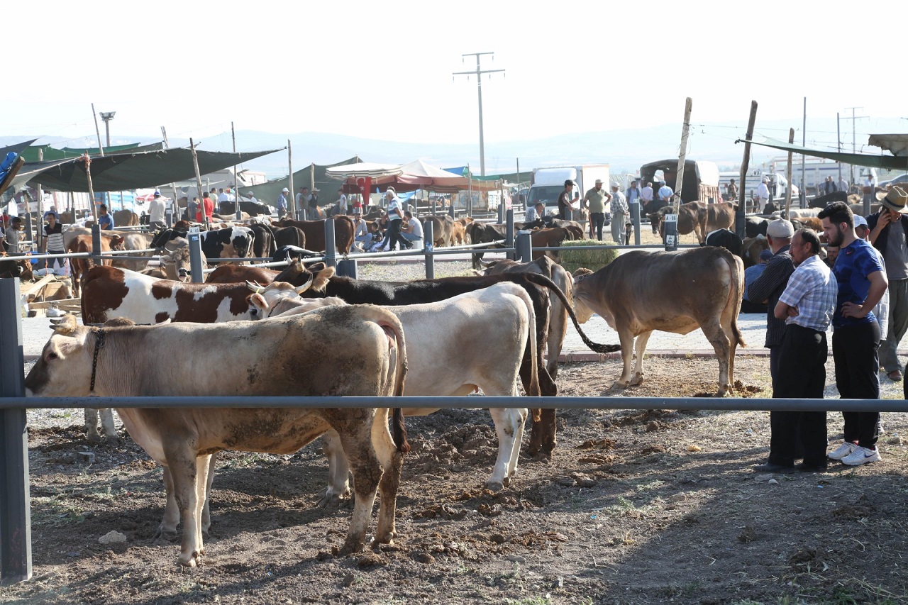 Meram’da Kurbanlık Satışları İçin Yer Tahsis İşlemleri Başladı