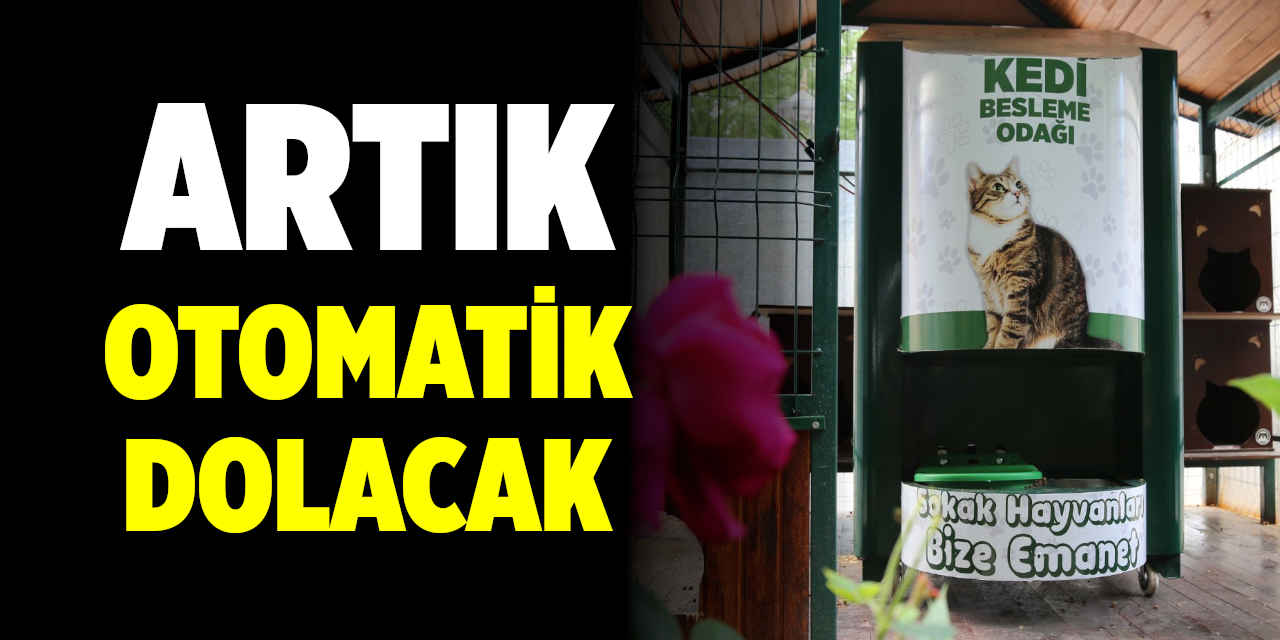 Hayvan Dostu Meram'da Mama Kapları Artık Otomatik Dolacak