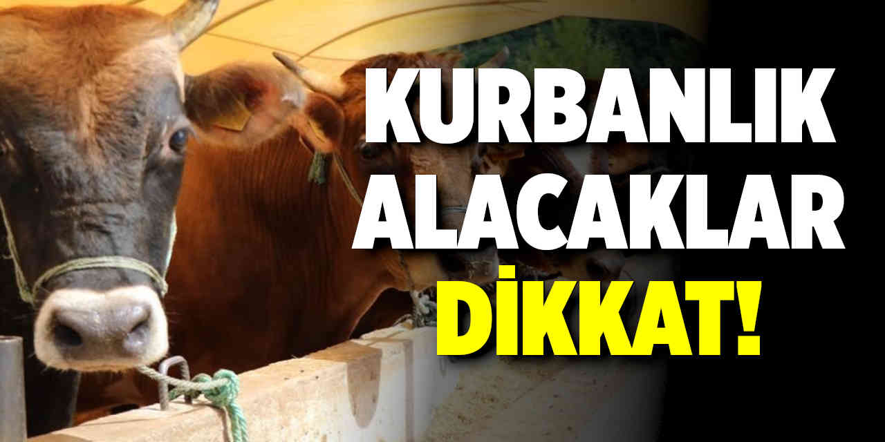 Kurbanlık Alacaklar Dikkat!