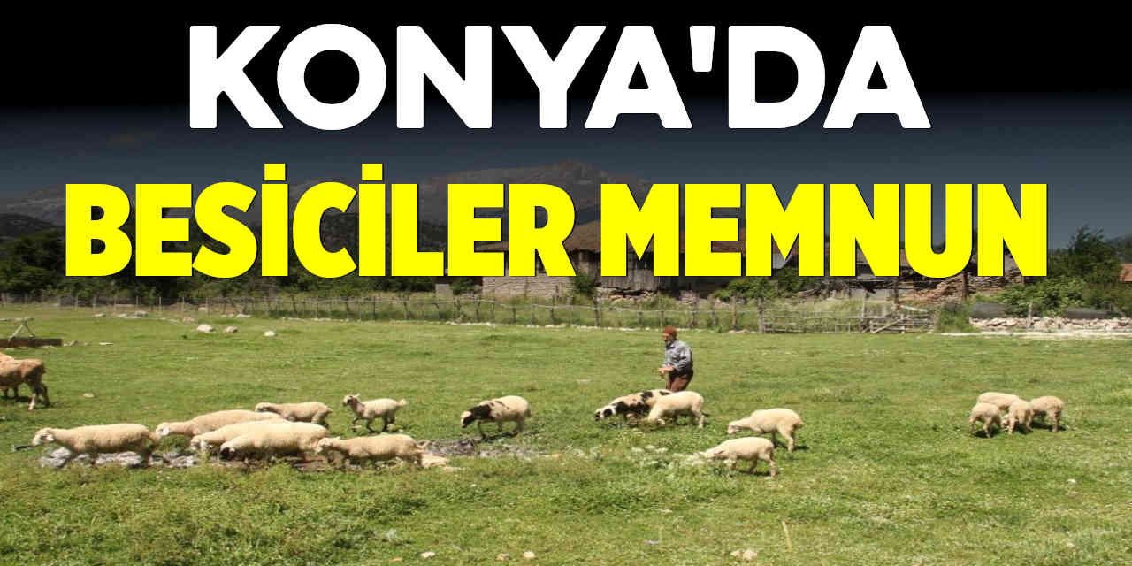 Besiciler Memnun: Karadeniz Havası Var