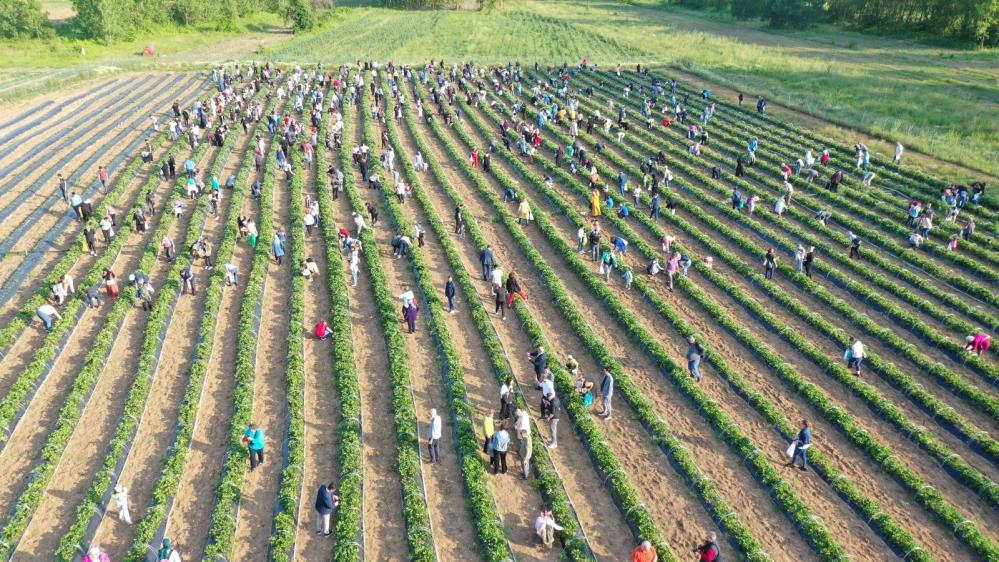Kız Çocuklarının Eğitimi İçin Toplanıyor