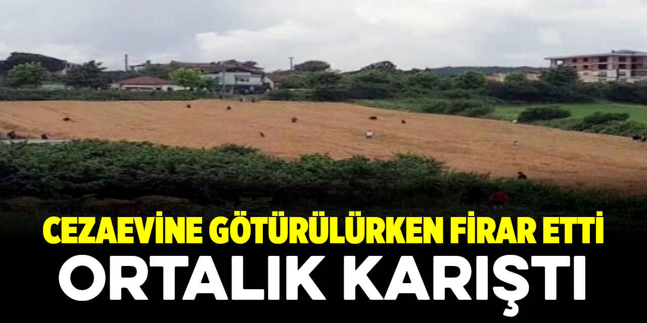 Cezaevine Götürülürken Firar Etti Ortalık Karıştı