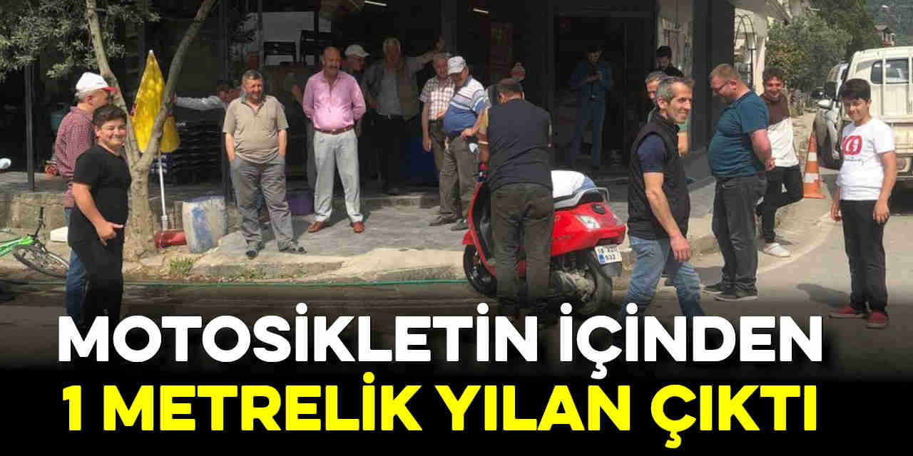 Motosikletin içinden 1 metrelik yılan çıktı