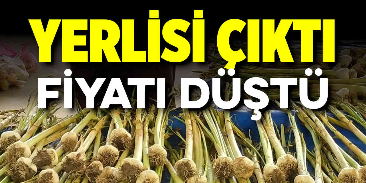 Yerlisi Çıktı Fiyatı Düştü