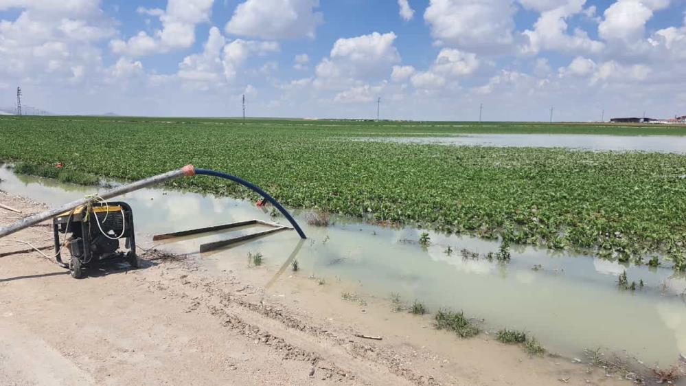 Konya'da suyla dolan tarlalardan su tahliye çalışması yapılıyor