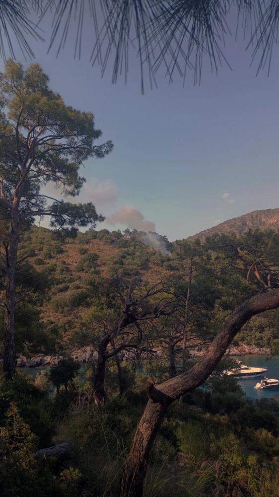 Fethiye’de orman yangını