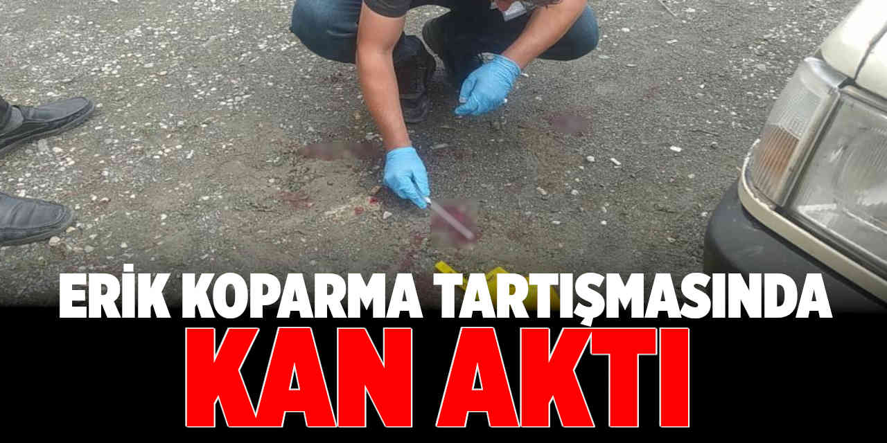 Çorum'da 'Erik Koparma'Tartışması: 1 Yaralı