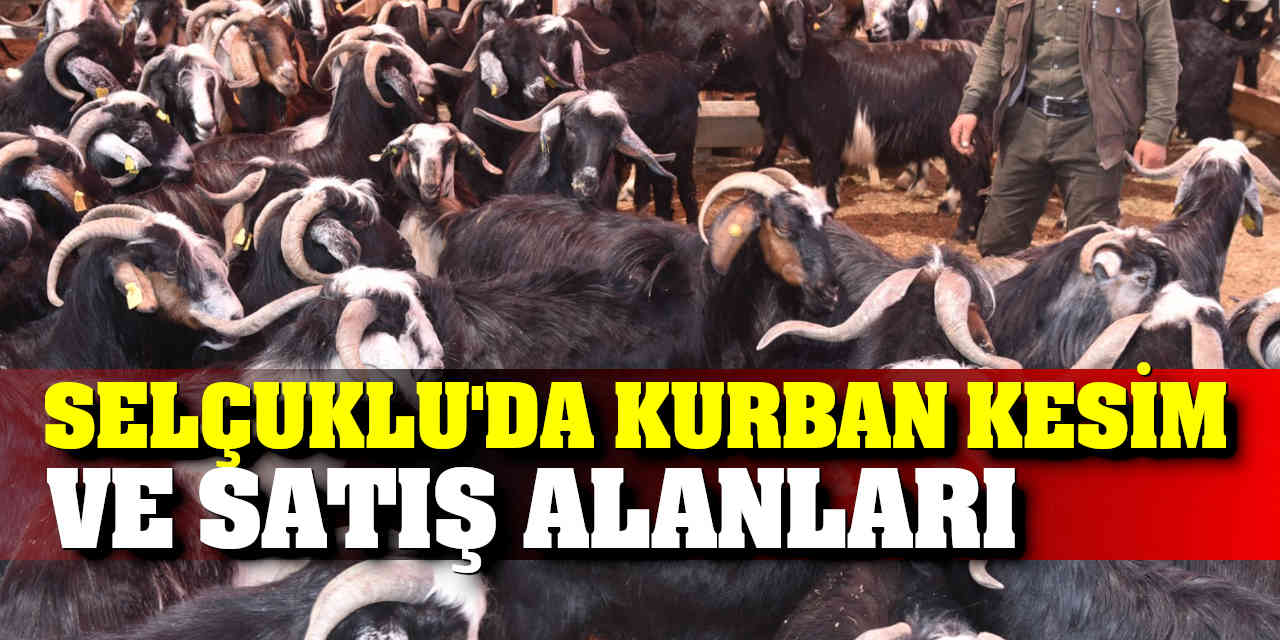 Selçuklu'da Kurban Kesim ve Satış Alanları
