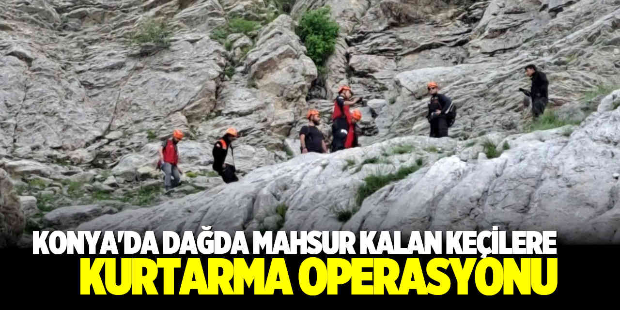 Konya'da Dağlık Alanda Mahsur Kalan Keçilere Kurtarma Operasyonu