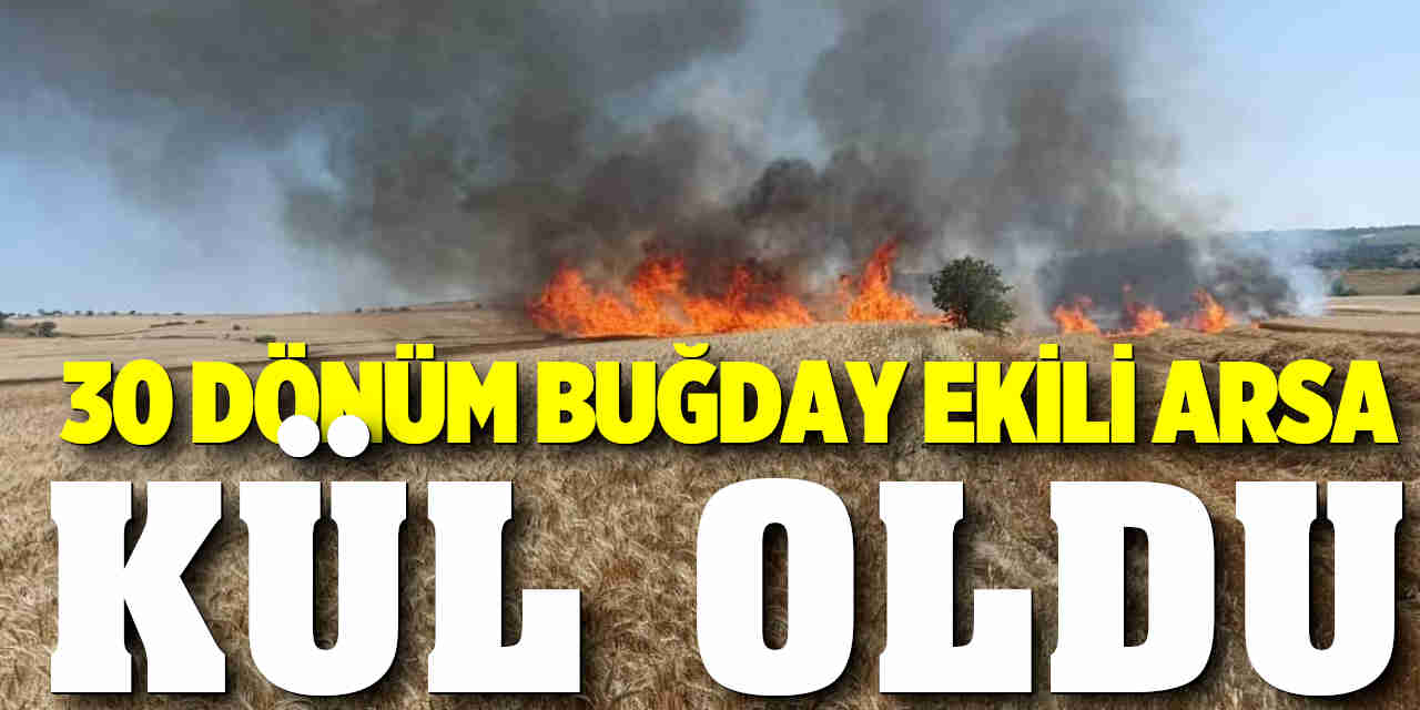 Keşan'da 30 dönüm buğday ekili arazi kül oldu