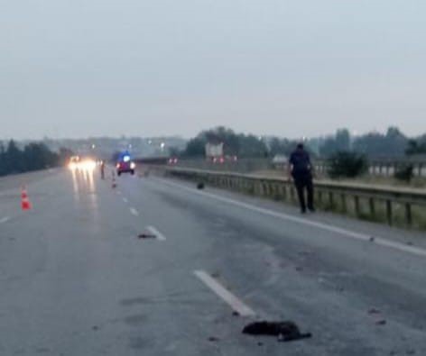 Tarsus'ta trafik kazasında 1 ölü