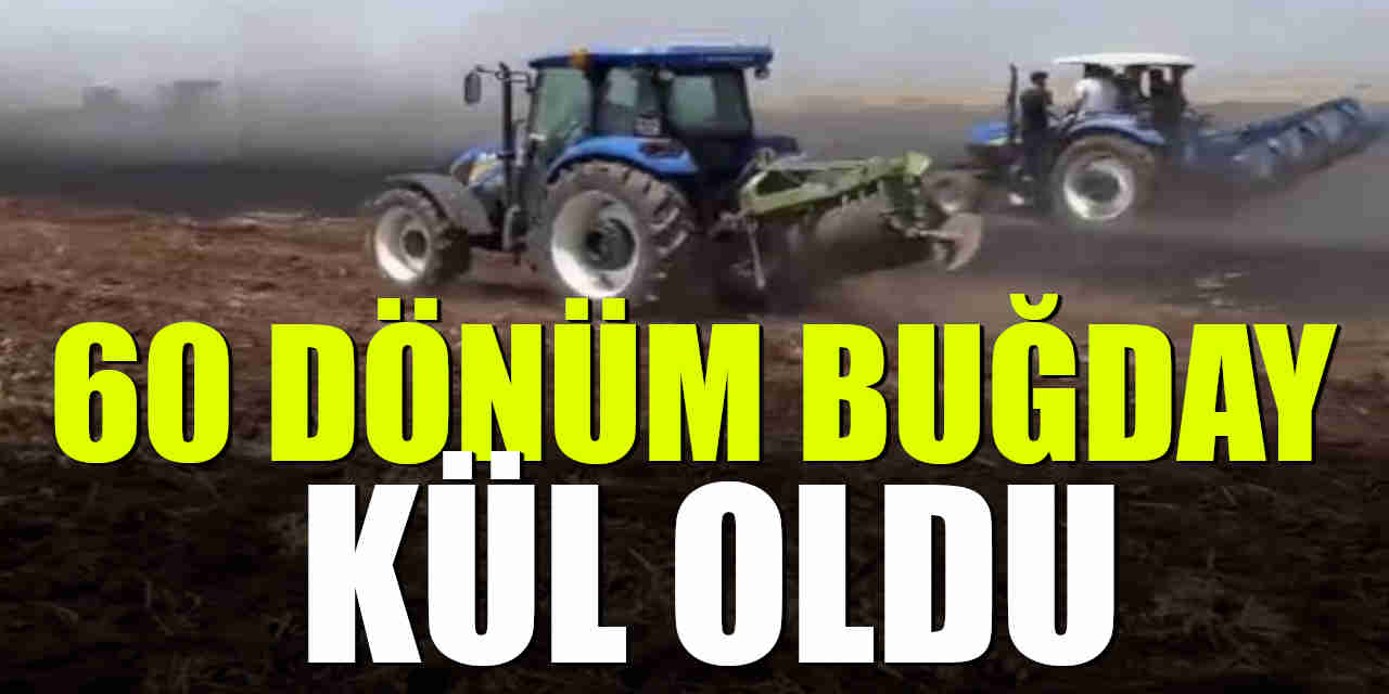 Ekili arazide çıkan yangında 60 dönüm buğday kül oldu