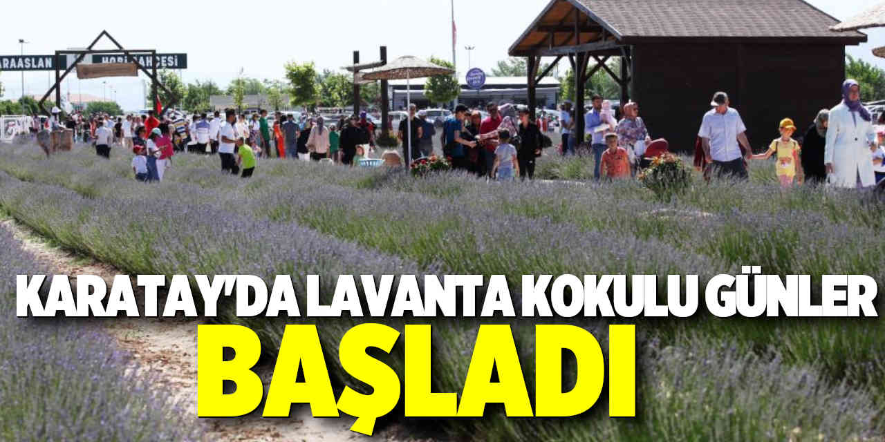 Karatay'da Lavanta Kokulu Günler Başladı