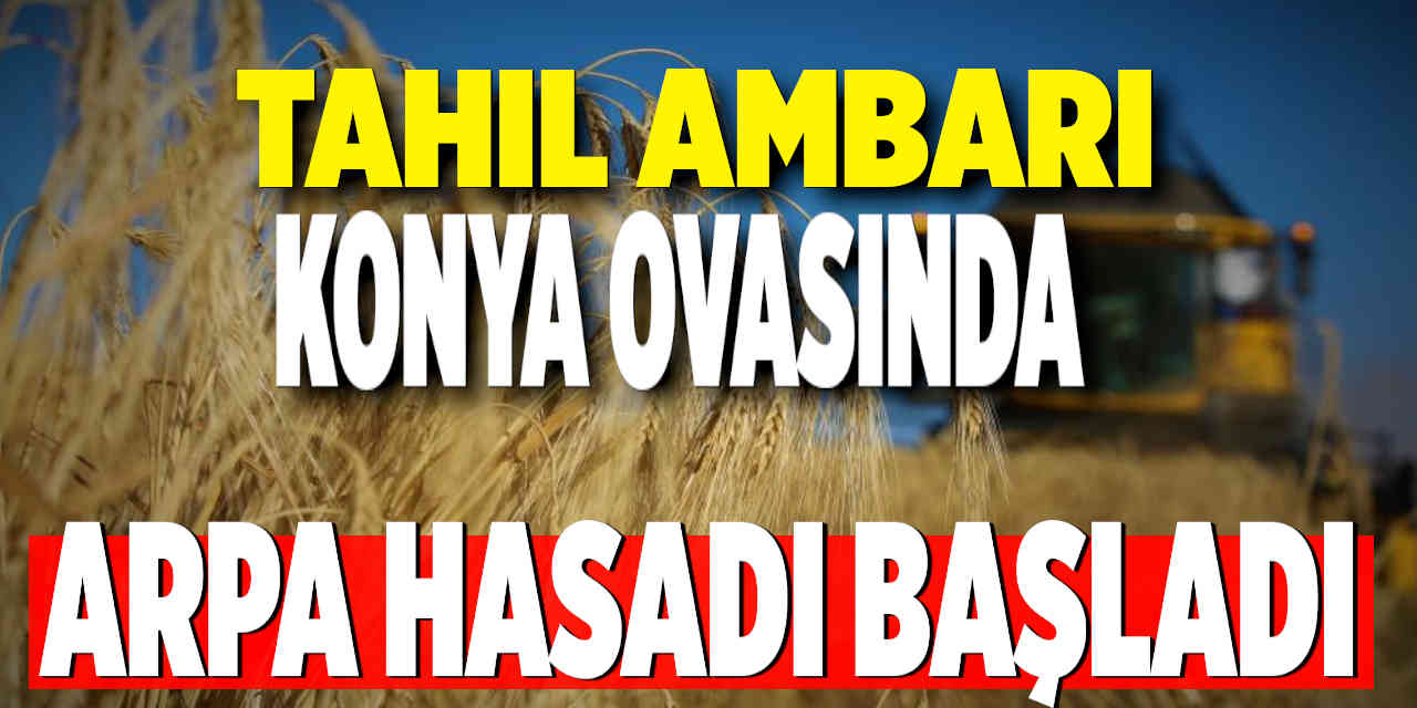 Konya Ovasında Arpa Hasadı Başladı
