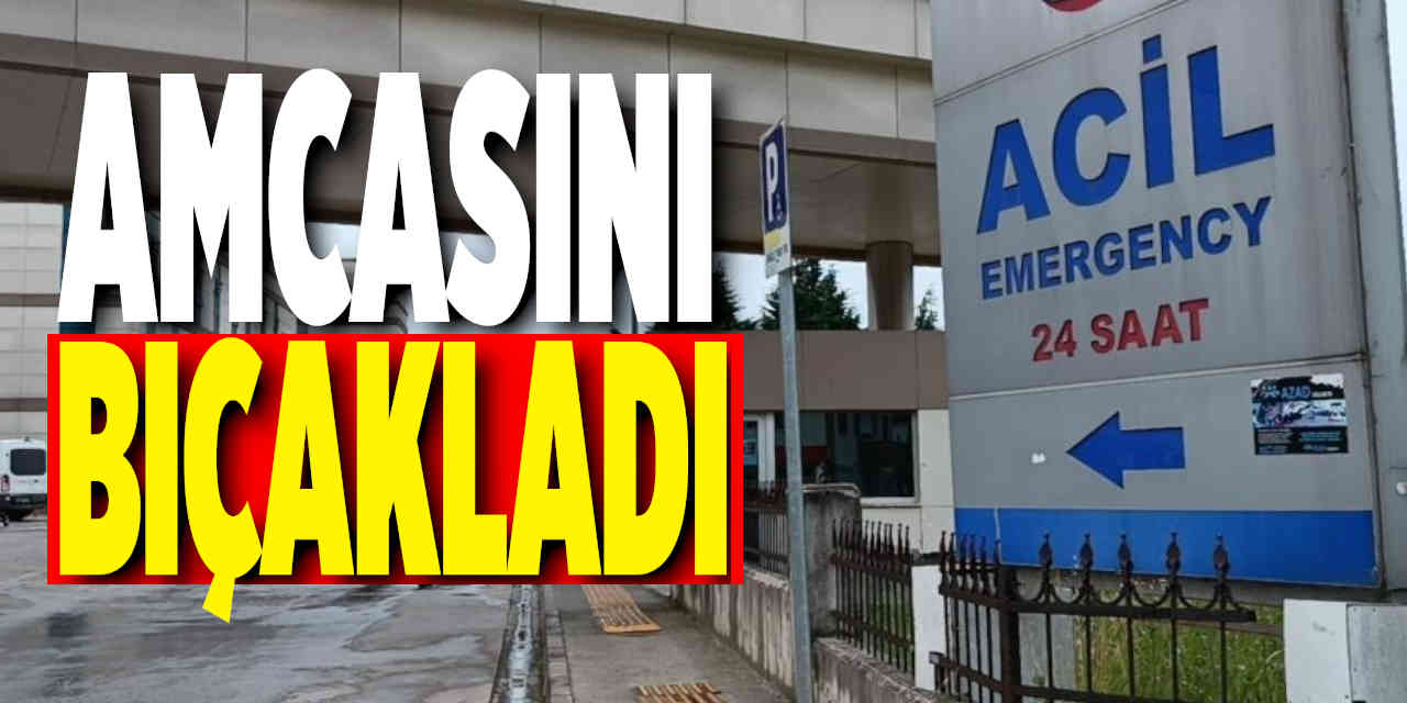 Amcasını Bıçakladı