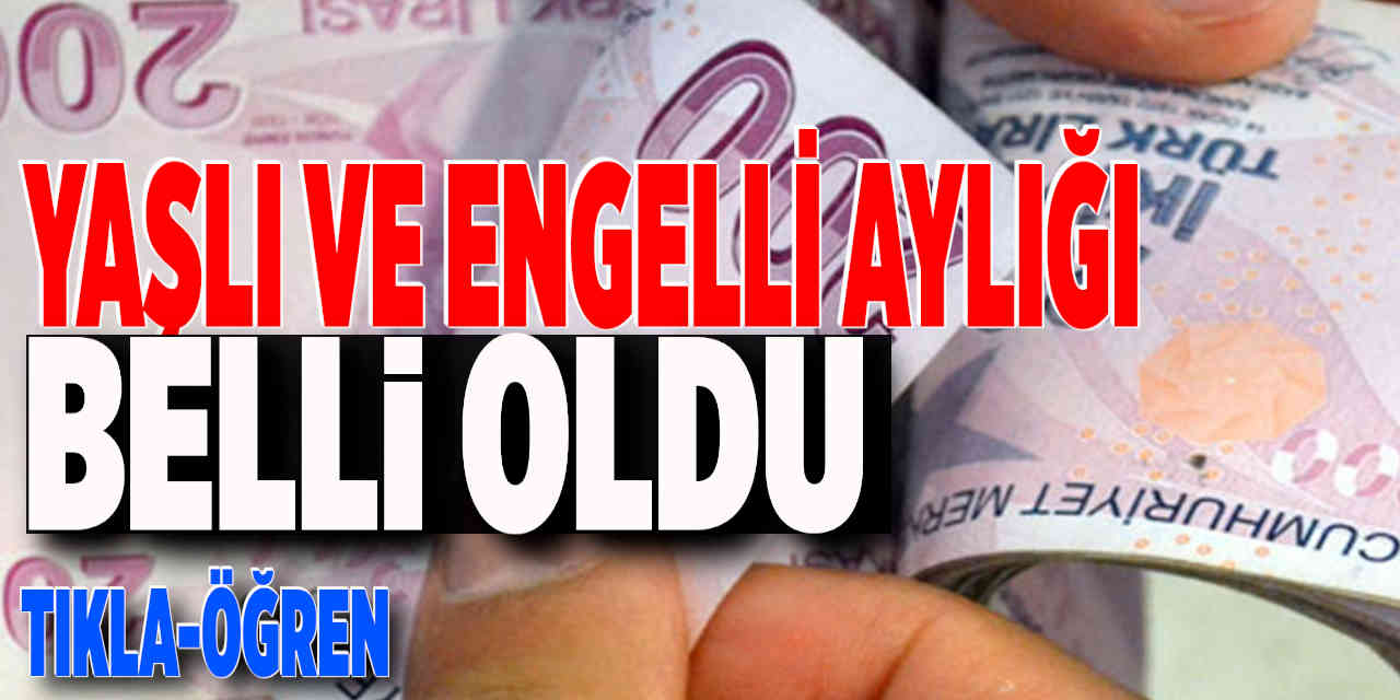 Yaşlı ve Engelli Aylığı Belli Oldu