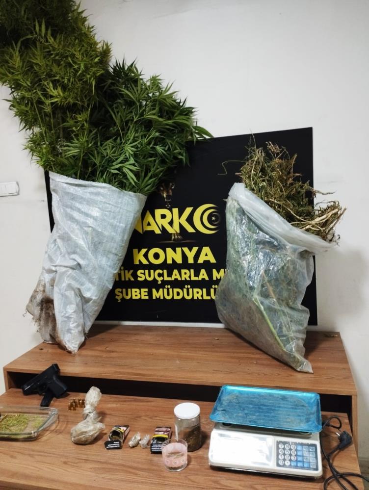 Konya'da 145 kök kenevir ele geçirildi