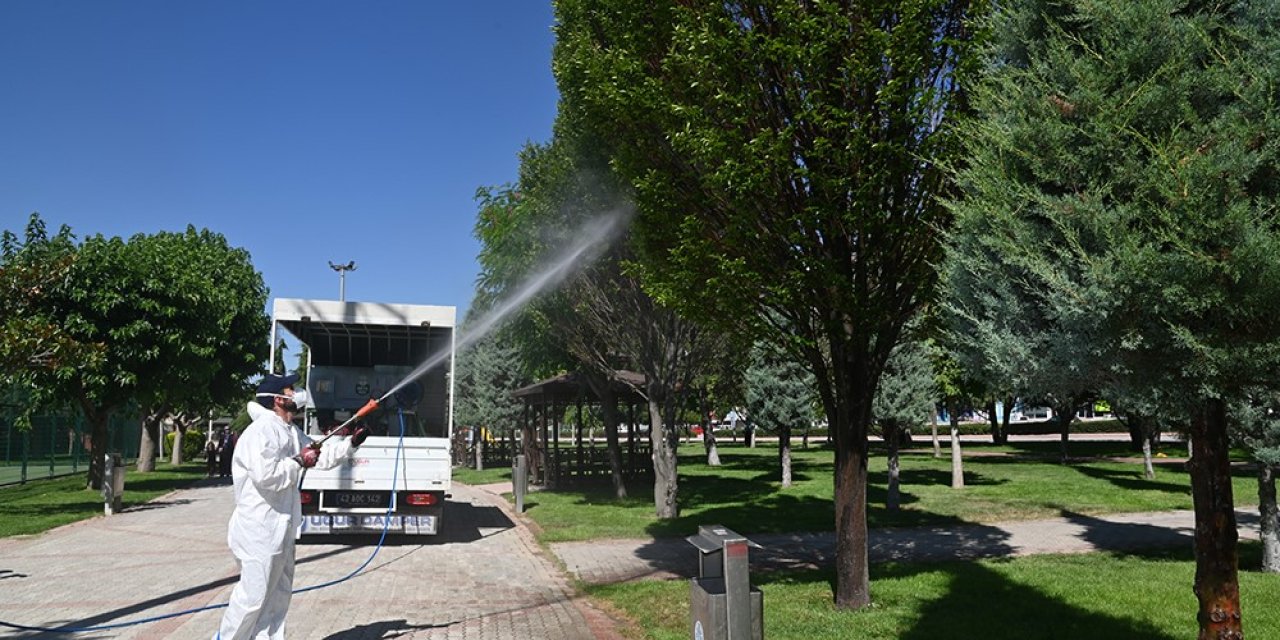 Selçuklu’da Haşere İlaçlaması Sürüyor