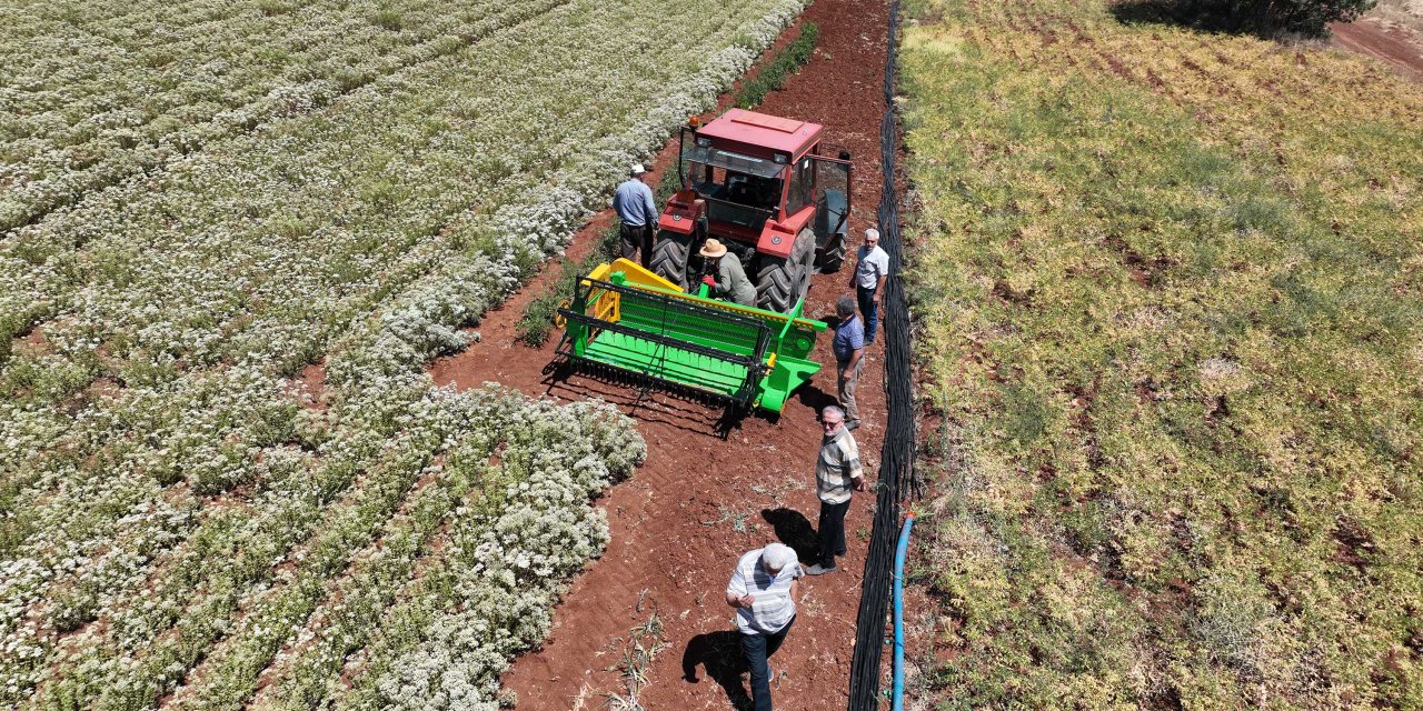 Susuz Tarımla Ekonomiye Katkı Sağlanıyor