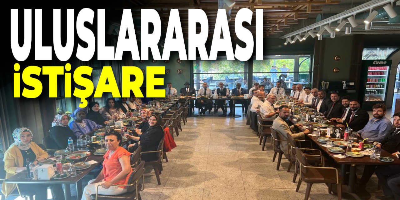 KONİAD'tan Uluslararası İstişare