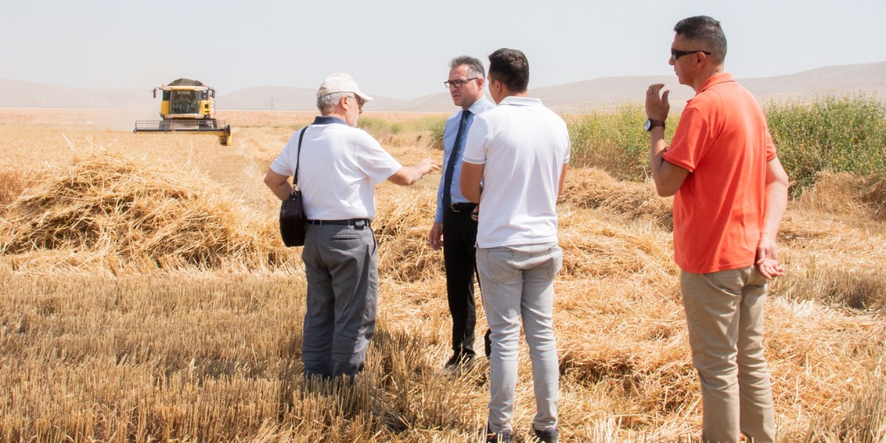 Selçuk’un Uygulama Çiftliğinde Buğday Hasadı Başladı