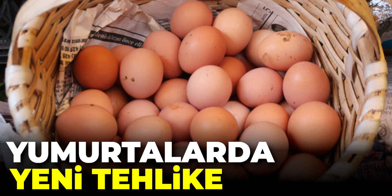 Yumurtalarda Yeni Tehlike