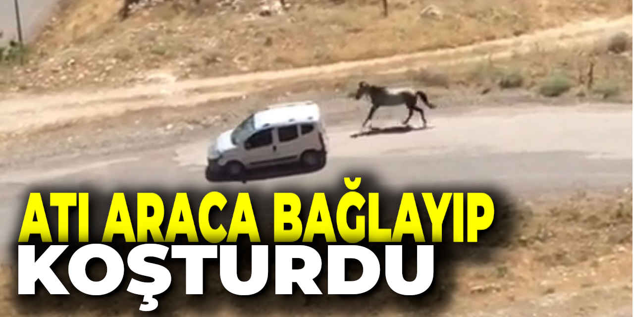 Atı Aracın Arkasına Bağlayıp Koşturdu
