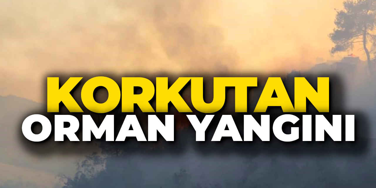 Son Dakika: Bilecik'te Korkutan Orman Yangını