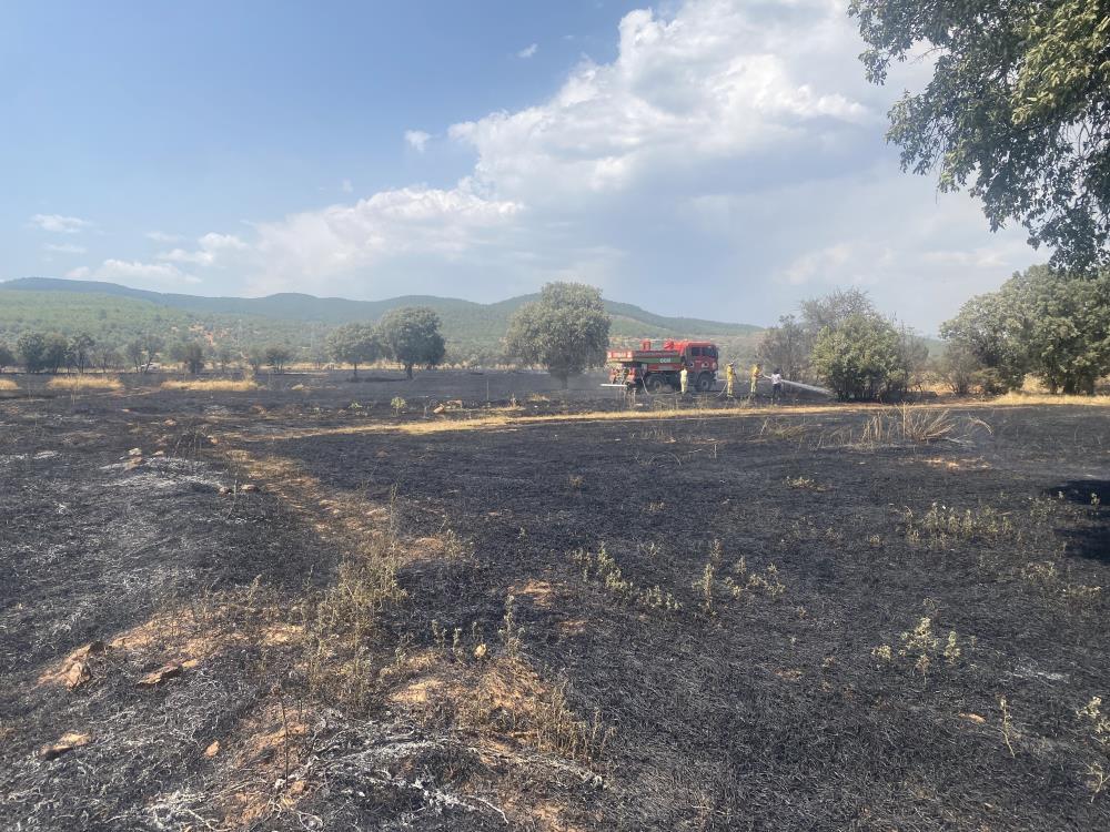 Uşak’ta yangın: 100 dönüm ekili alan alevlere teslim oldu