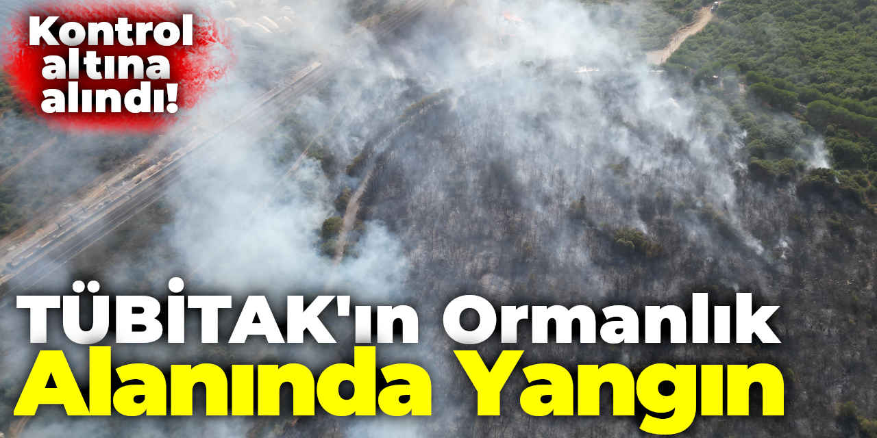 TÜBİTAK'ın Ormanlık Alanında Yangın!