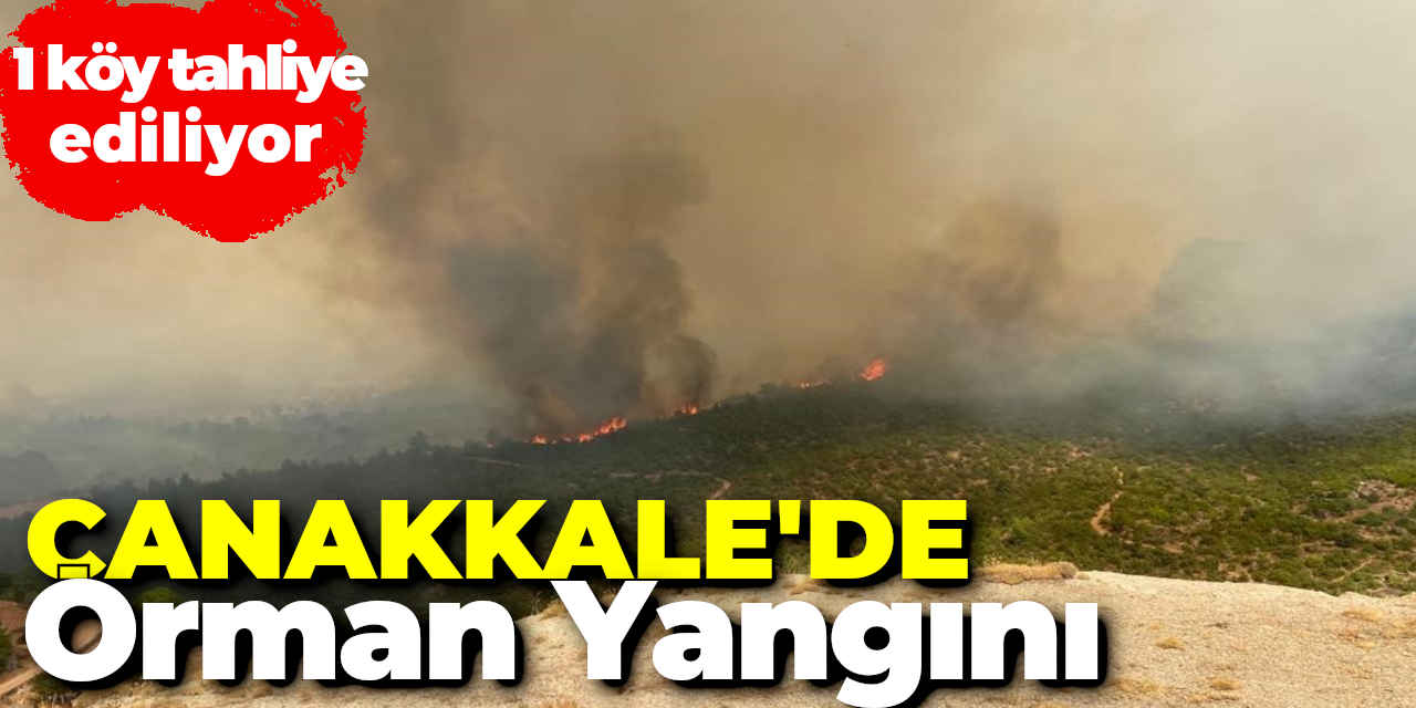 Çanakkale'de Orman Yangını: 1 köy tahliye ediliyor