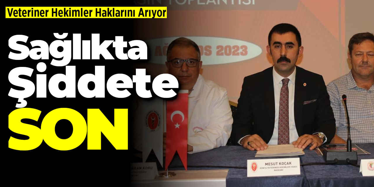 Sağlıkta Şiddete Son: Veteriner Hekimler Haklarını İstiyor