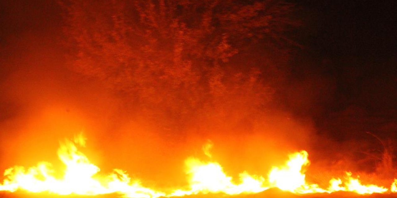 Anız yangını paniğe neden oldu