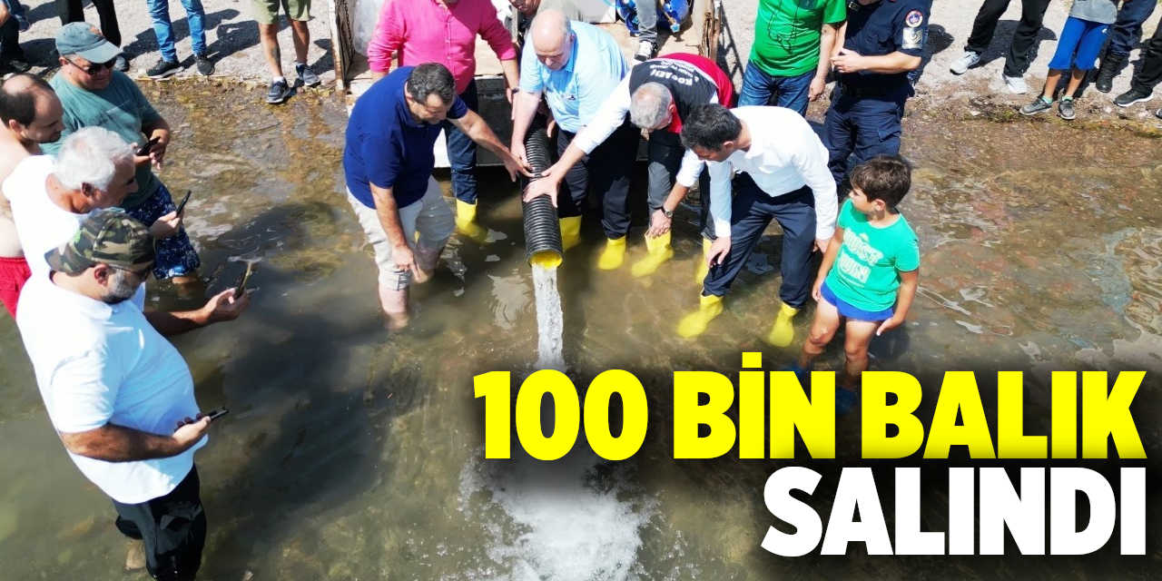 100 bin balık salındı