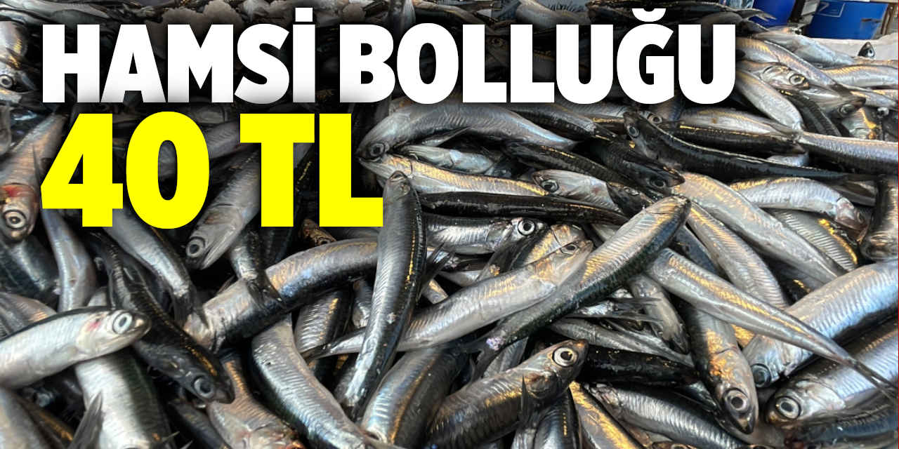 Karadeniz'de hamsi bolluğu yaşandı, kilosu 40 TL