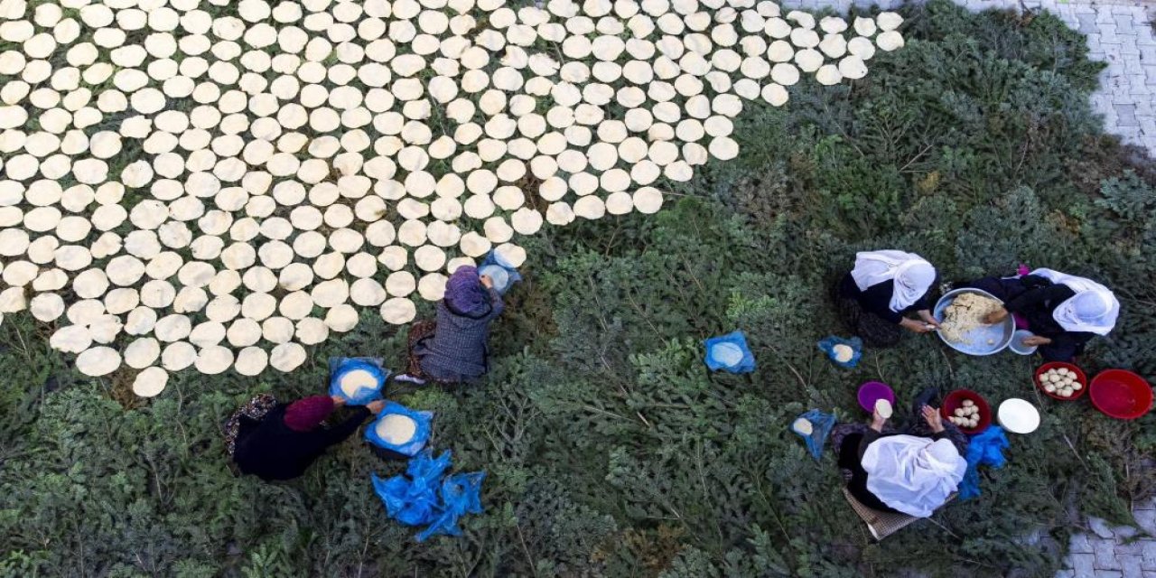 Bu Tarhana Ladin Ağacı Dalları Üstünde Kış İçin Hazırlanıyor