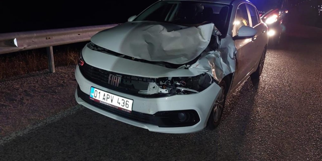 Yola çıkan eşek kazaya yol açtı