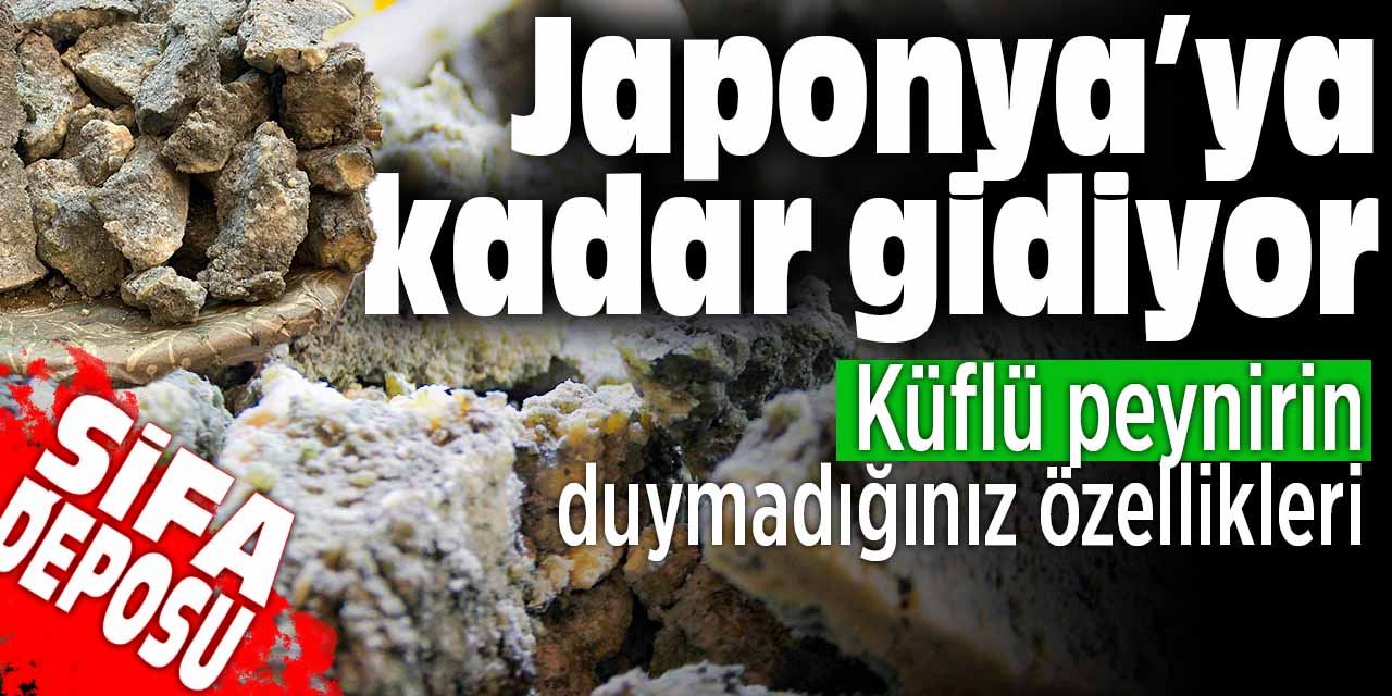 Konya'nın peyniri Japonya'ya kadar gidiyor! Küflü peynirin duymadığınız özellikleri