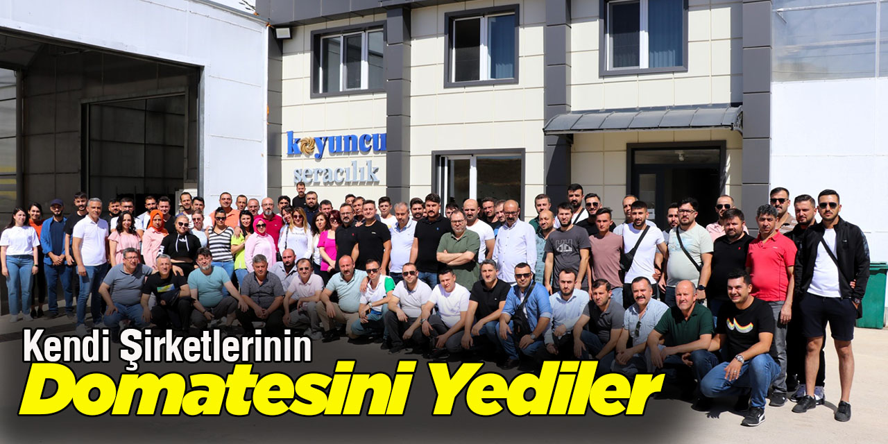 Kendi Şirketlerinin Domatesini Yediler